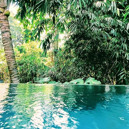 Ngesil Private Joglo & Pool Hotel Ubud  Luaran gambar