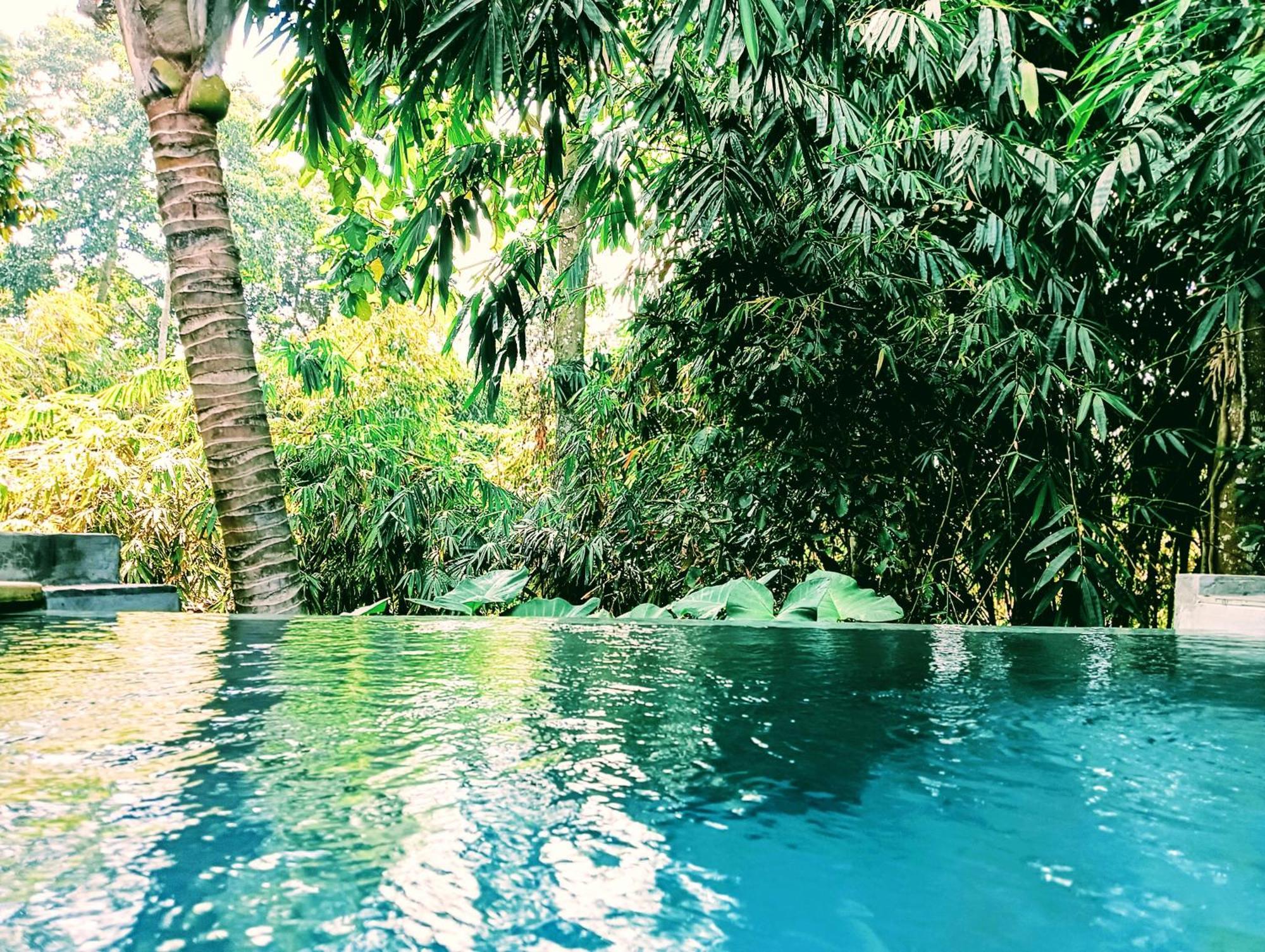 Ngesil Private Joglo & Pool Hotel Ubud  Luaran gambar